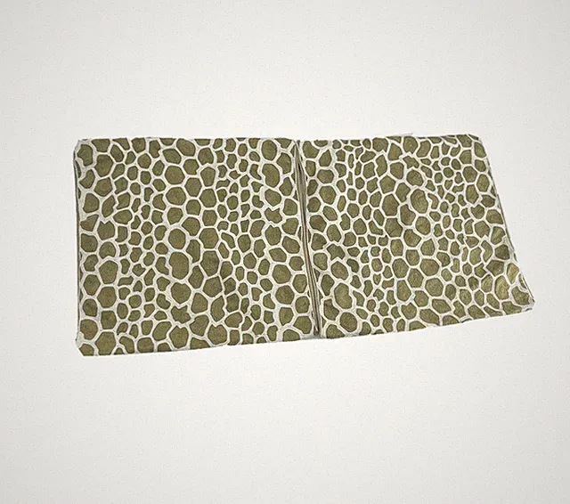 West Elm 2Pc Decorative Pillow Shams Size 18x18 Cotton Animal Print